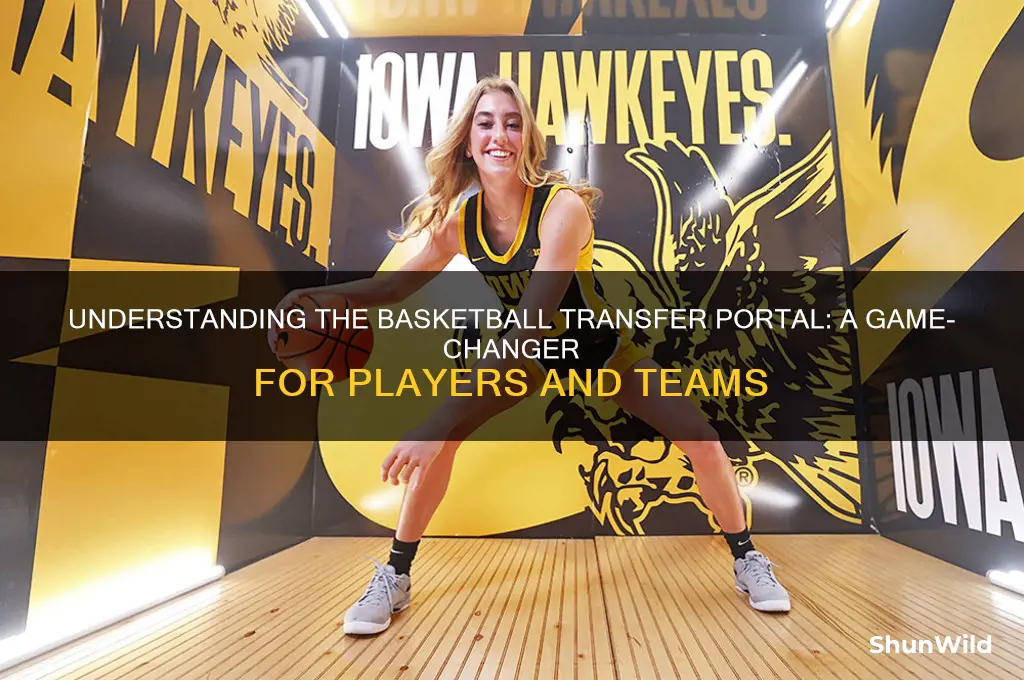 what is a basketball transfer portal