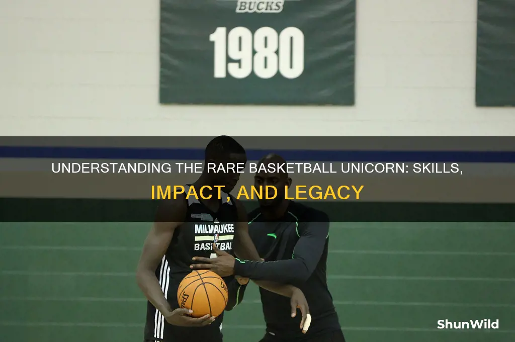 what is a basketball unicorn