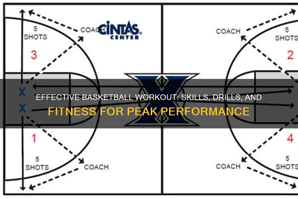 what is a basketball workout