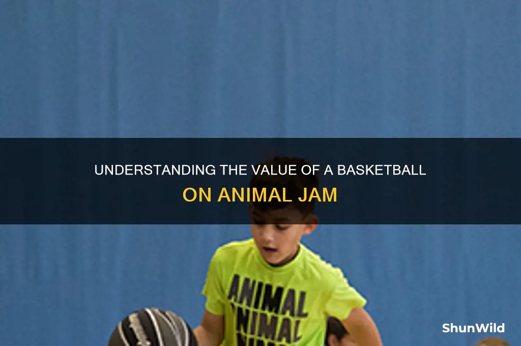 what is a basketball worth on aj