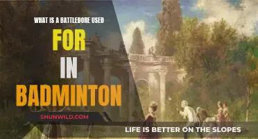 Battledore: The Evolution of Badminton Rackets