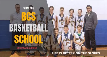 Basketball Championship Series: BCS Schools Explained