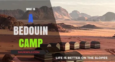 Exploring the Traditional Bedouin Camp: Culture, Lifestyle, and Desert Heritage