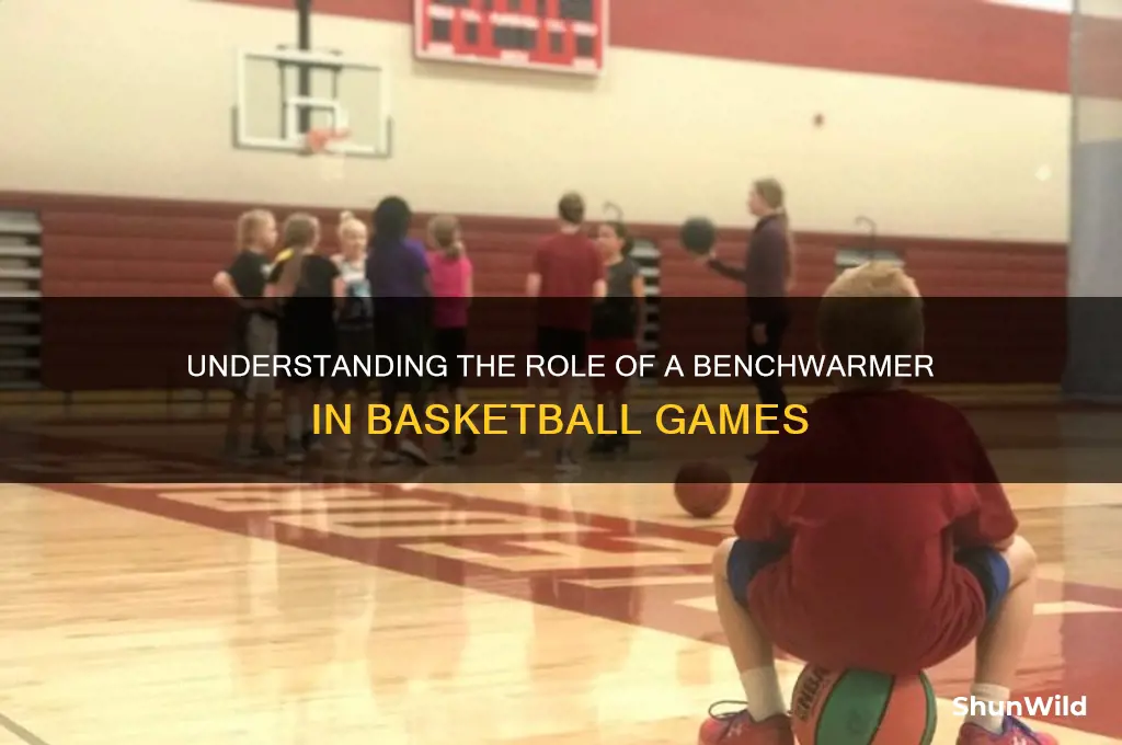 what is a benchwarmer in basketball