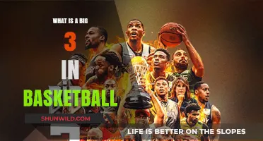 Understanding Basketball's Big Three