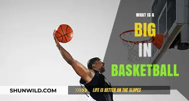 Basketball Bigs: The Court's Giants