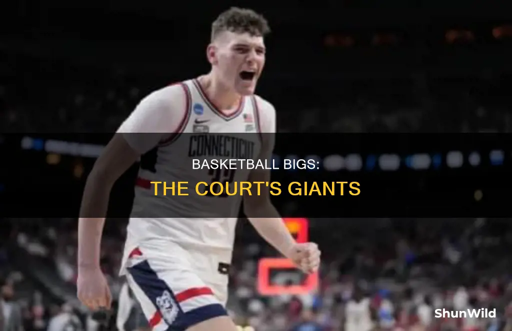 what is a big in basketball
