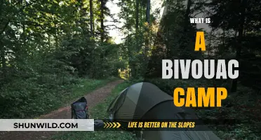 Exploring the Basics of a Bivouac Camp: A Beginner's Guide