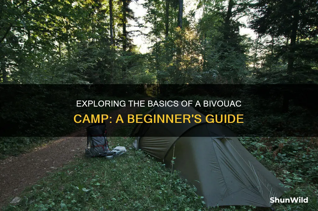 what is a bivouac camp