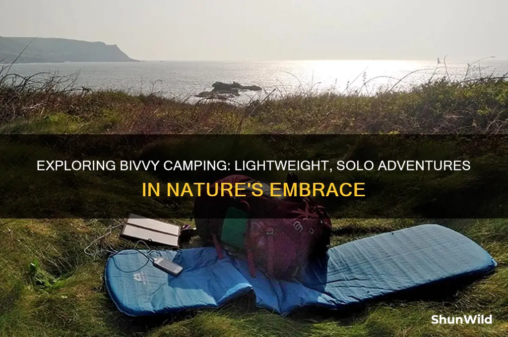 what is a bivvy camp