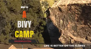 Exploring the Basics of Bivy Camping: A Beginner's Guide