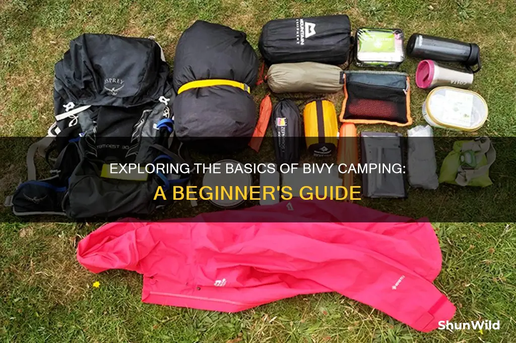 what is a bivy camp
