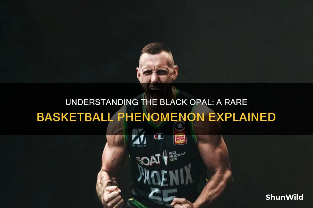 what is a black opal in basketball