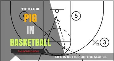 Understanding the Blind Pig: A Unique Basketball Strategy Explained