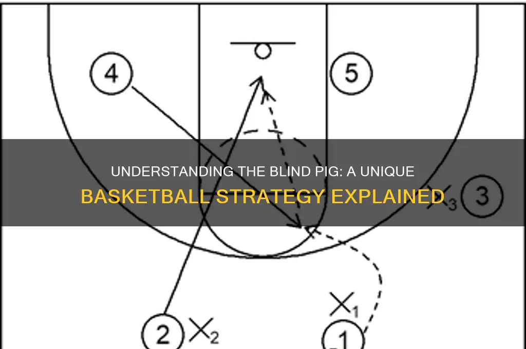 what is a blind pig in basketball