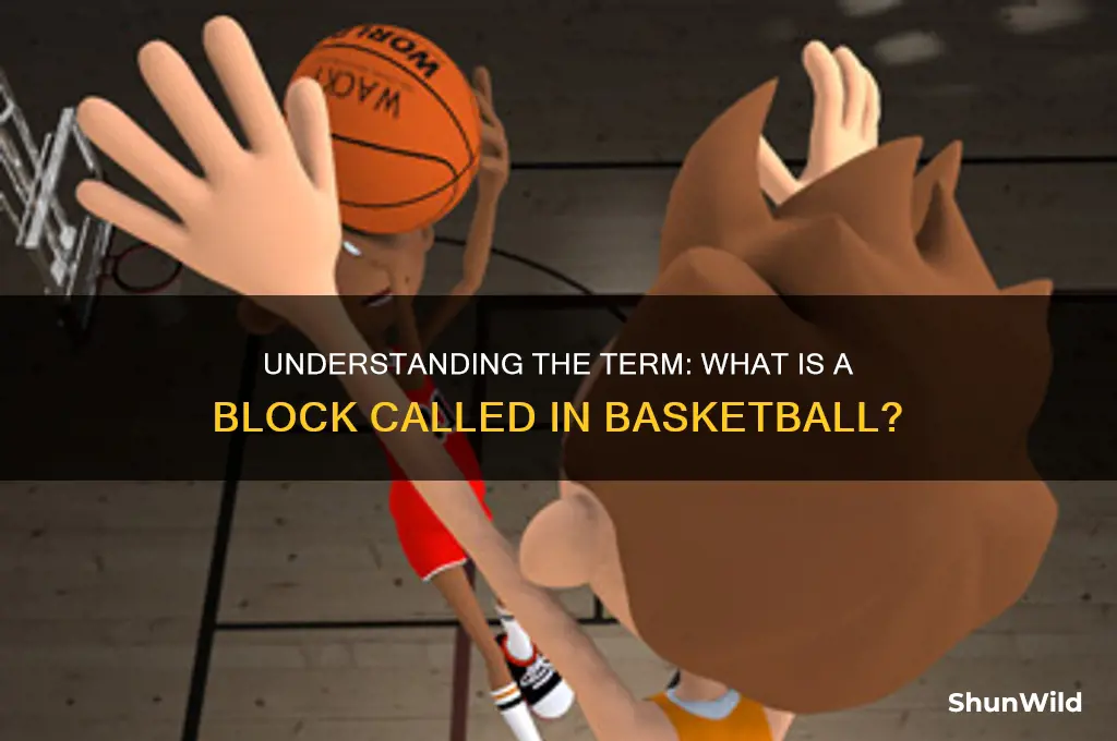 what is a block called in basketball