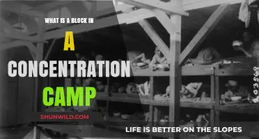 Understanding the Role of a Block in Concentration Camp Life