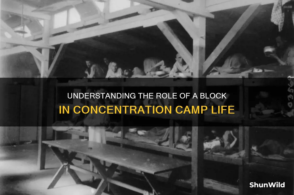 what is a block in a concentration camp