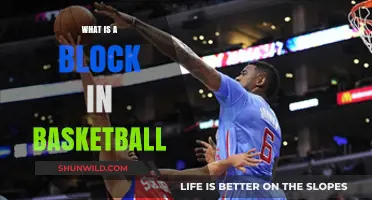 Mastering the Art of Blocking in Basketball