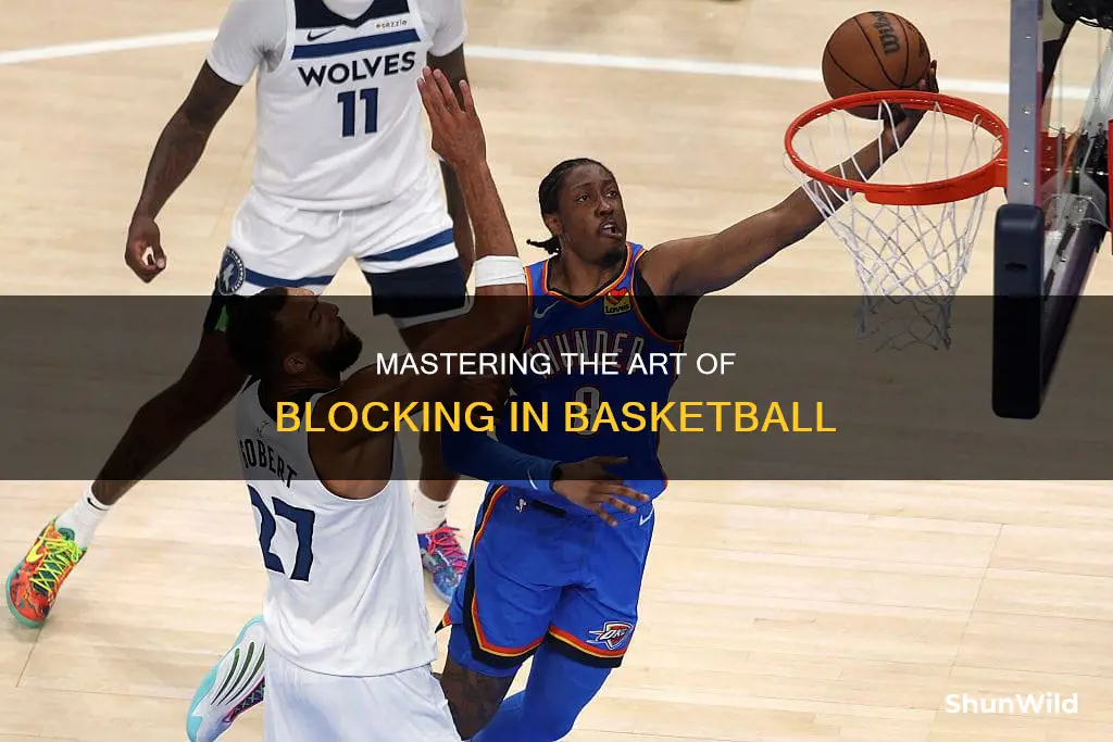 what is a block in basketball