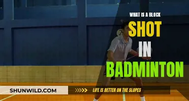 Mastering the Block Shot in Badminton