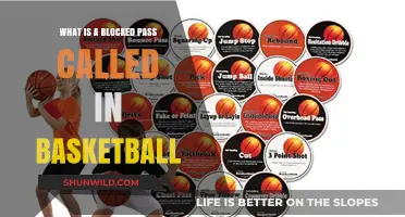 Understanding the Blocked Pass in Basketball: What’s It Called?