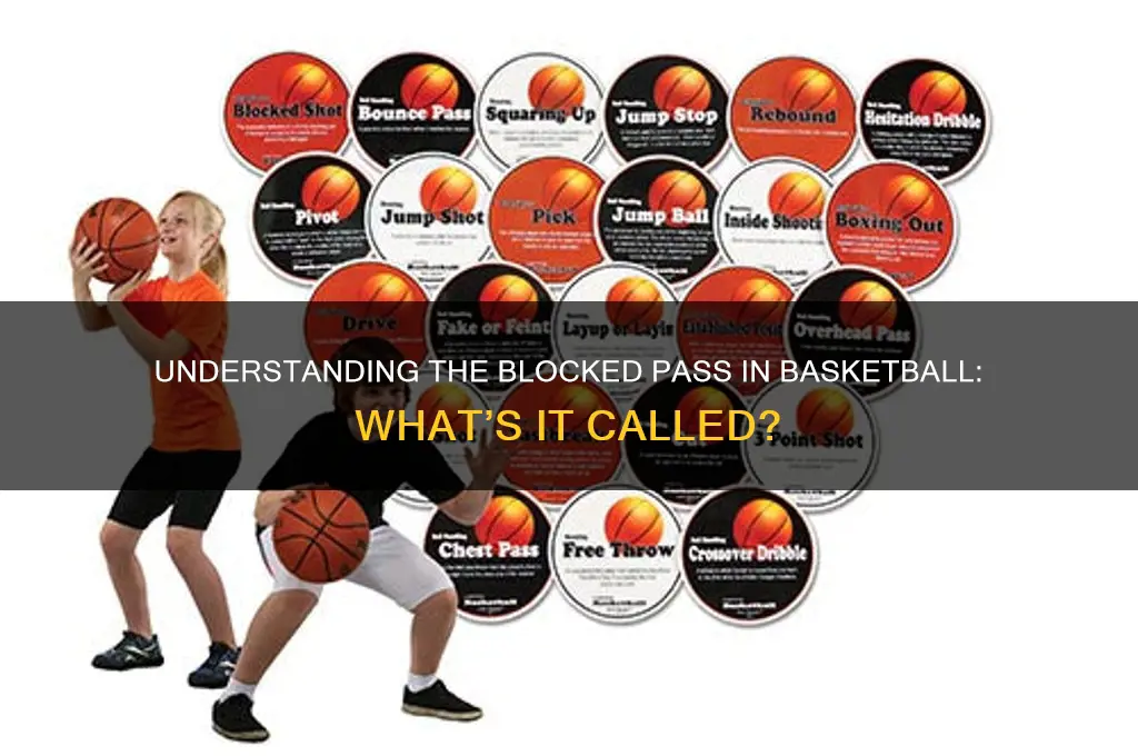what is a blocked pass called in basketball
