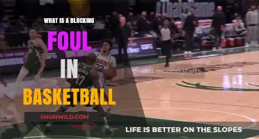 Blocking Fouls: Understanding Basketball's Offensive and Defensive Fouls