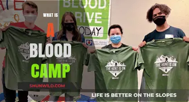 Understanding Blood Camps: Purpose, Benefits, and Community Impact Explained