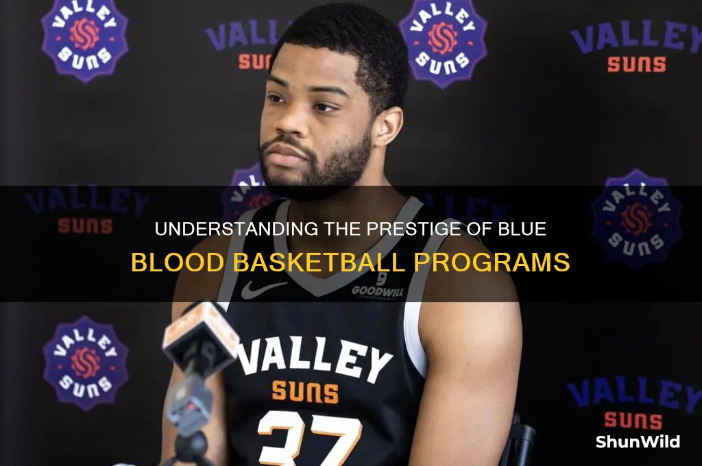 what is a blue blood basketball program