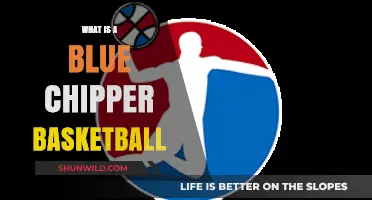 Understanding Blue Chippers: Elite Basketball Prospects and Their Impact