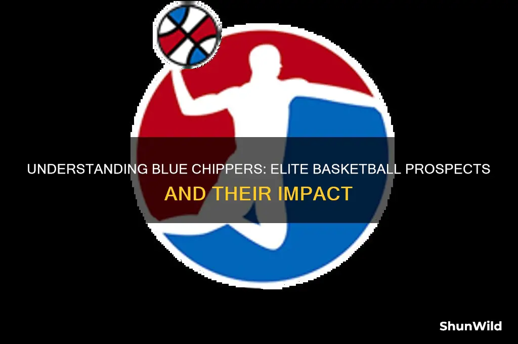 what is a blue chipper basketball