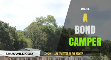 Understanding Bond Campers: A Beginner's Guide to Bond Camping