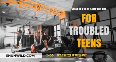 Discover Boot Camps: Fitness, Skills, and Growth Beyond Troubled Teens