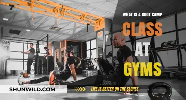 Discover the Intense, High-Energy World of Gym Boot Camp Classes