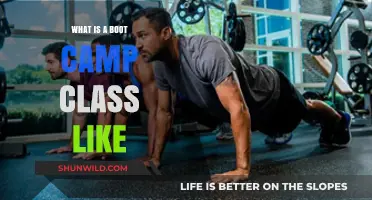 Experience the Intensity: What to Expect in a Boot Camp Class