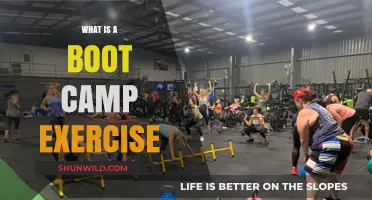 Discover the Intense World of Boot Camp Exercise: A Complete Guide