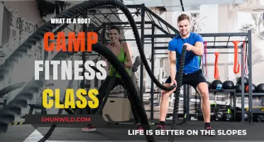 Discover the Intense World of Boot Camp Fitness Classes