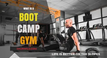 Discover the Intense World of Boot Camp Gym Workouts