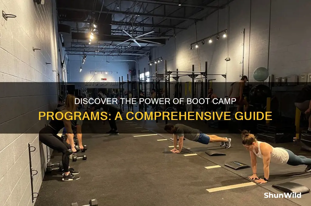 what is a boot camp program