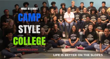 Exploring Boot Camp Style Colleges: Intense Learning for Career Success