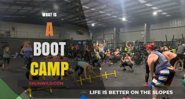 Discover the Intensity and Benefits of Boot Camp Training