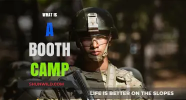 Understanding Boot Camps: Intensive Training Programs for Rapid Skill Development
