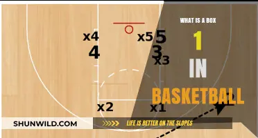 Understanding Box 1 Defense in Basketball: Tactics and Strategies