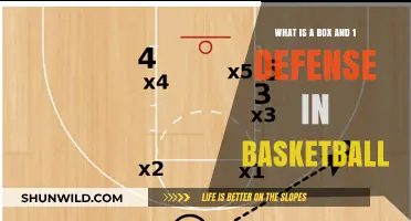 Understanding the Box and 1 Defense Strategy in Basketball