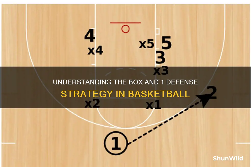 what is a box and 1 defense in basketball