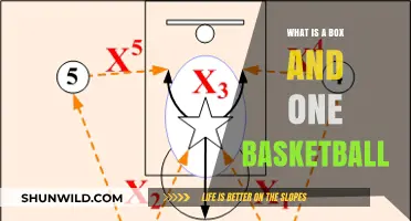 Mastering the Box and One Defense in Basketball: A Comprehensive Guide