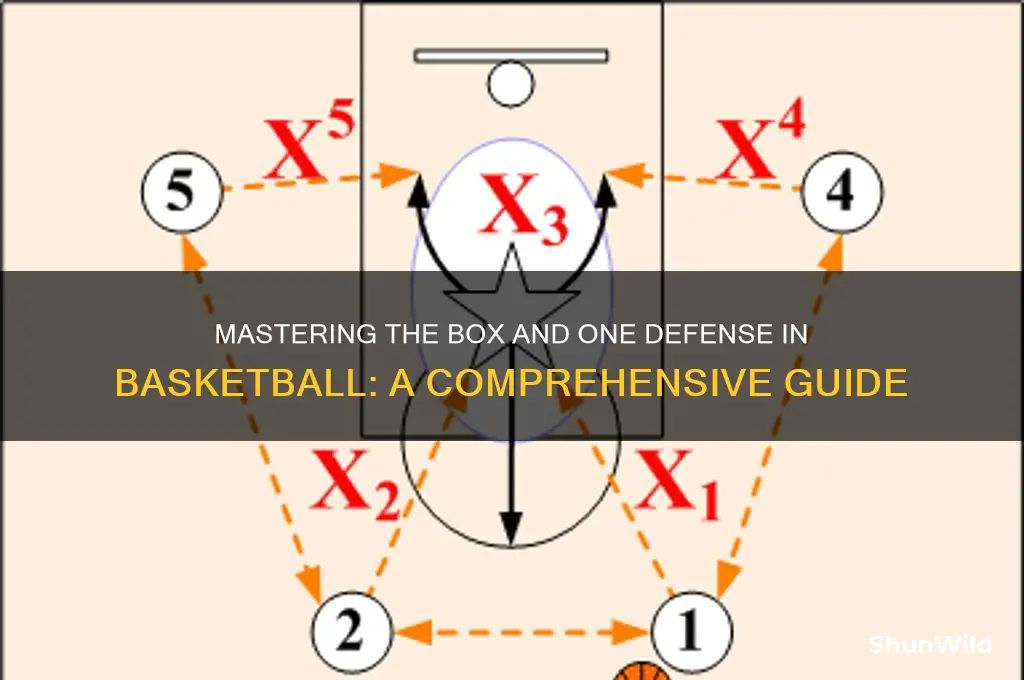 what is a box and one basketball