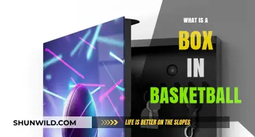 Understanding the Key: What is a Box in Basketball?