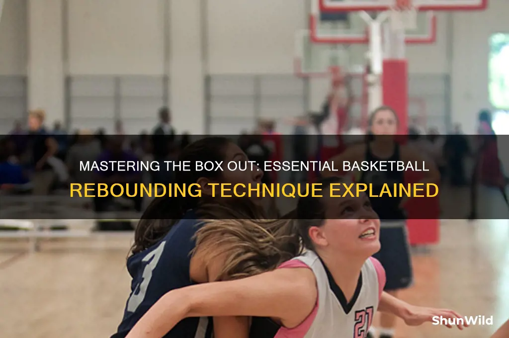 what is a box out basketball